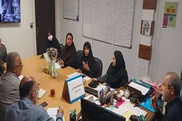 برگزاری کمیته درون‌بخشی مقابله با پشه مهاجم آادس در رشت